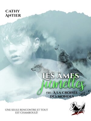 cover image of Les âmes jumelles, Tome 2